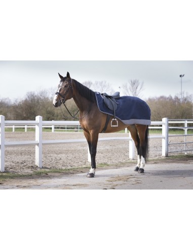 Cobre-rins Equithème Tirex 600D