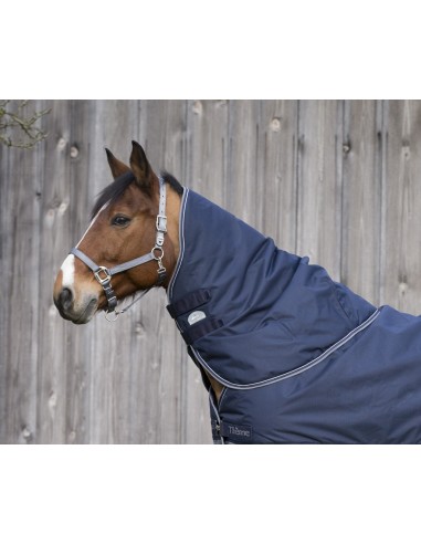 Equitème "Tirex 600D" 200gr Neck Cover