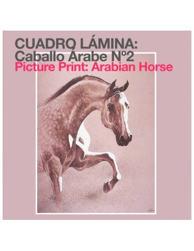 Arabian Horse Poster