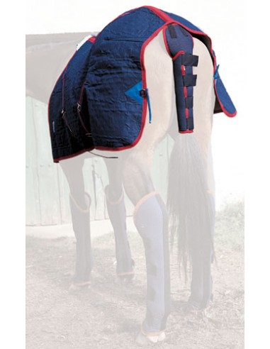 Rabicheira transporte Mehis Lona