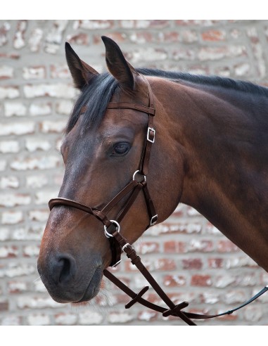 Linda Tellington-Jones Lindell...