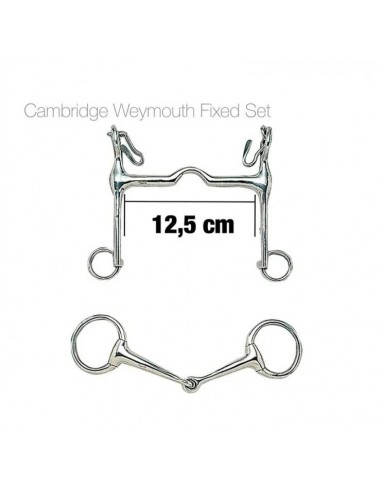 Conjunto Freio e Bridão Ensino