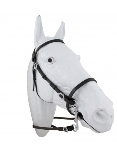 copy of Portuguese brake bridle...