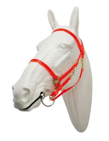 Cabeçada para Raid em TPU