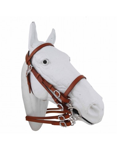 Double Bridle