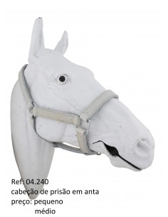 Header in Tapir with Cisgola