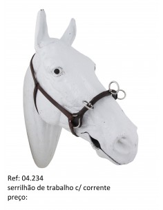 Work Cavesson with flexible...