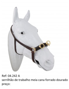 Golden Lined Half-cane Work...