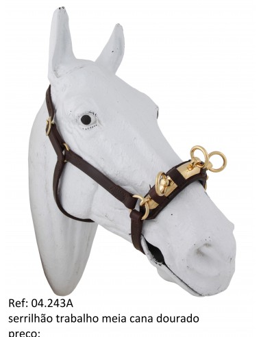 Golden Half-cane Work Cavesson