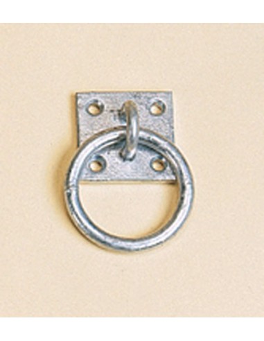 Ring with Fixing Plate