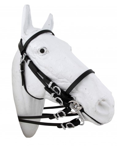 Portuguese break Header and bridle...