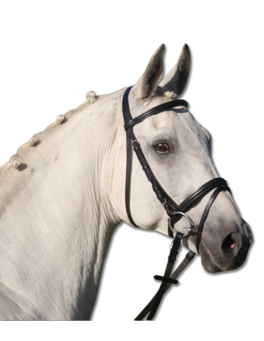 Waldhausen X-Line Brownie Header