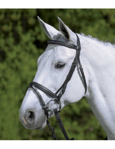 Waldhausen Star Diamond Header