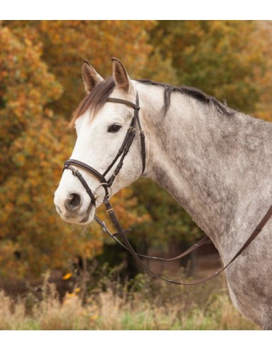 Waldhausen Star Diamond Header