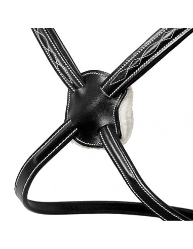 Lexhis Green Silka Mexican Header