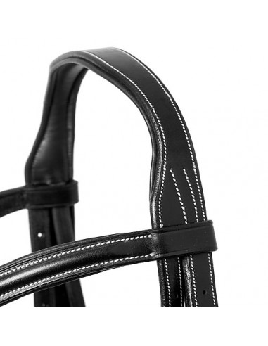 Lexhis Green Silka Mexican Header