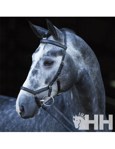 Rambo Micklem Competition Bridle Header