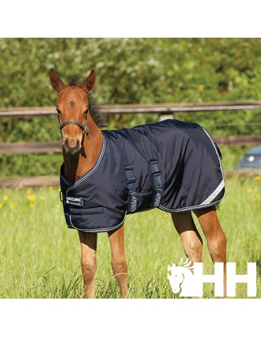 Foals Amigo Medium Exterior Blanket