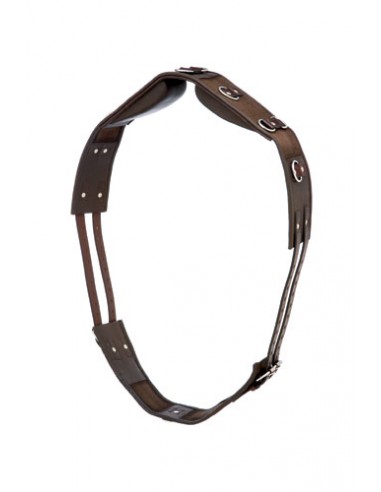 HH lona Cinch in Leather