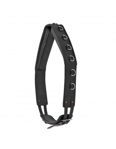 Lexhis Leather Cinch