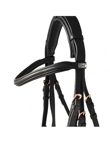 Lexhis Luna English Break Header