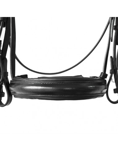 Lexhis Luna English Break Header