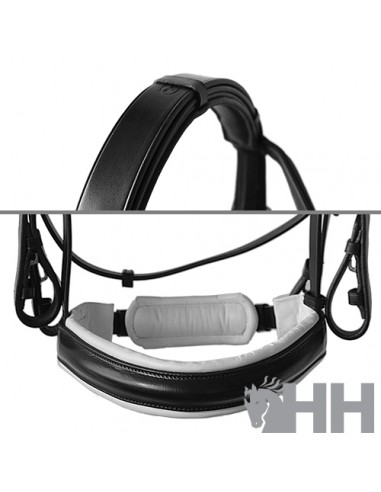 Lexhis Luna English Break Header