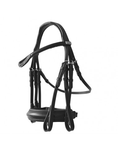 Lexhis Olimpia English Break Header