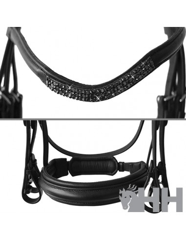 Lexhis Olimpia English Break Header