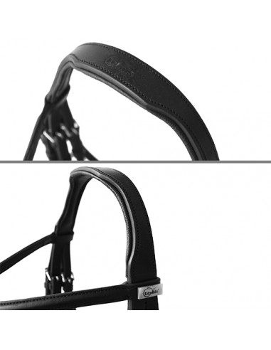 Lexhis Olimpia English Break Header