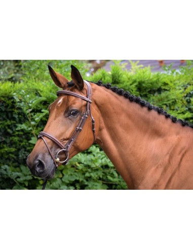 Jump'in ONE paris Header