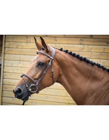 Jump'in ONE London Header