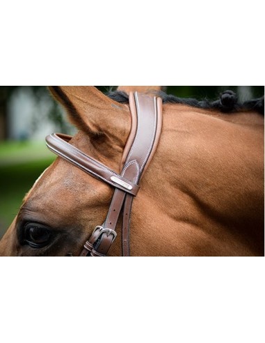 Jump'in ONE London Header