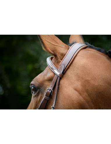 Jump'in ONE London Header