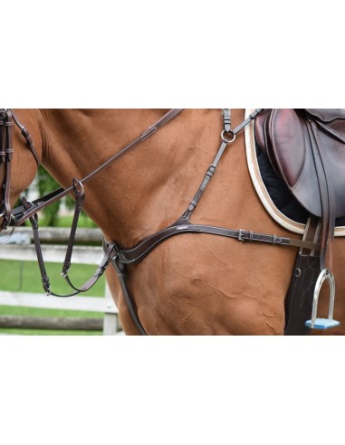Jump'in ONE 2 in 1 breastplate with...