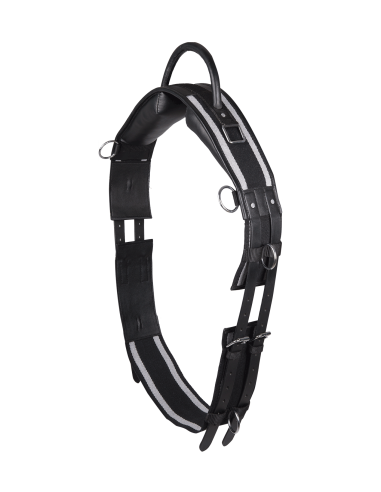 Vaulting Cinch with Leather Ring